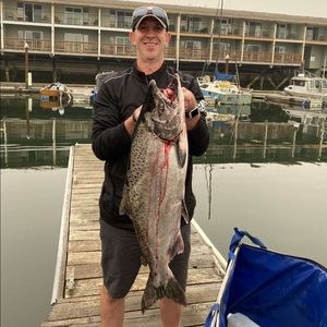 Meet your Posher, Blake